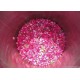 Hydrolat de Rose de Provins (Rosa gallica) 200ml