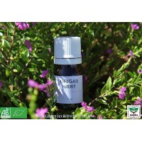 HE Origan vert (Origanum heracleoticum) 5ml