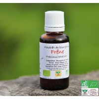 Macérat bio de bourgeons de Romarin 30ml