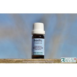 HE Basilic tropical (Ocimum basilicum) 10ml