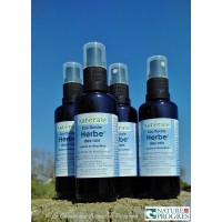 Hydrolat Herbe des Rois (Pterocaulon decurrens) 50ml