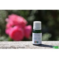 HE  Lavande aspic (Lavandula latifolia) 10ml
